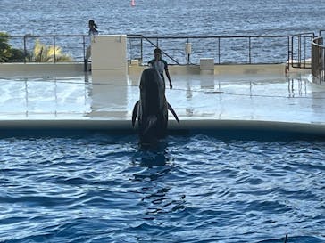 マリンワールド海の中道に投稿された画像（2025/9/21）