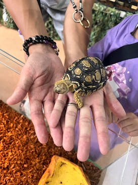 いきもの探検隊上尾に投稿された画像（2025/9/21）