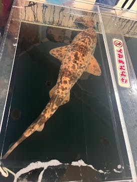 いきもの探検隊上尾に投稿された画像（2025/9/21）