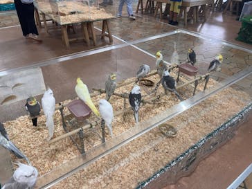 いきもの探検隊上尾に投稿された画像（2025/9/21）