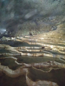 秋芳洞に投稿された画像（2025/9/21）