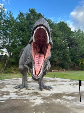 福井県立恐竜博物館に投稿された画像（2025/9/21）