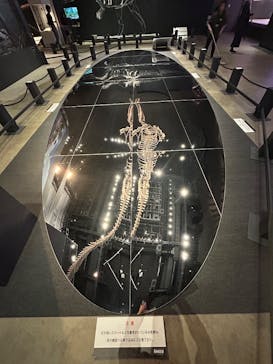 福井県立恐竜博物館に投稿された画像（2025/9/21）