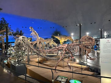 福井県立恐竜博物館に投稿された画像（2025/9/21）