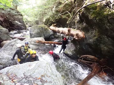 自然派企画に投稿された画像（2025/9/21）