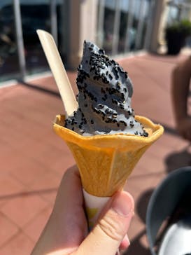 新江ノ島水族館に投稿された画像（2025/9/21）