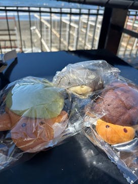 新江ノ島水族館に投稿された画像（2025/9/21）