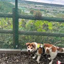 わんダフルネイチャーヴィレッジに投稿された画像（2025/9/21）