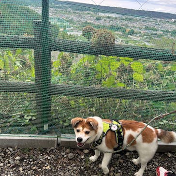 わんダフルネイチャーヴィレッジに投稿された画像（2025/9/21）