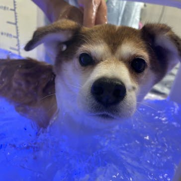 わんダフルネイチャーヴィレッジに投稿された画像（2025/9/21）