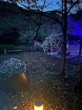 ニジゲンノモリに投稿された画像（2025/9/21）