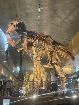 北九州市立自然史・歴史博物館（いのちのたび博物館）に投稿された画像（2025/9/22）