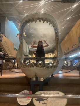 北九州市立自然史・歴史博物館（いのちのたび博物館）に投稿された画像（2025/9/22）