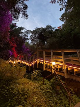 ニジゲンノモリに投稿された画像（2025/9/22）