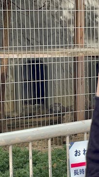 名古屋市東山動植物園に投稿された画像（2025/9/22）