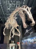 福井県立恐竜博物館に投稿された画像（2025/9/22）