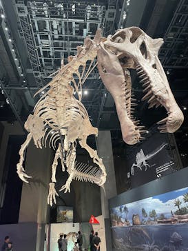 福井県立恐竜博物館に投稿された画像（2025/9/22）