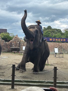 ANIMAL WONDER REZOURT 市原ぞうの国・サユリワールドに投稿された画像（2025/9/22）