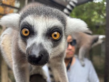 ANIMAL WONDER REZOURT 市原ぞうの国・サユリワールドに投稿された画像（2025/9/22）