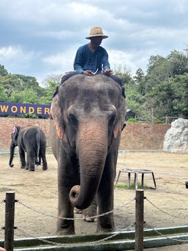 ANIMAL WONDER REZOURT 市原ぞうの国・サユリワールドに投稿された画像（2025/9/22）