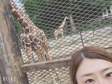 ANIMAL WONDER REZOURT 市原ぞうの国・サユリワールドに投稿された画像（2025/9/22）