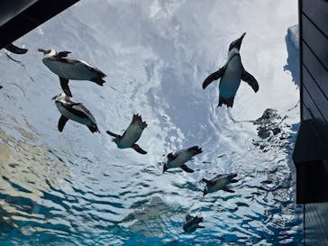 サンシャイン水族館に投稿された画像（2025/9/22）
