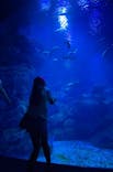 京都水族館に投稿された画像（2025/9/22）