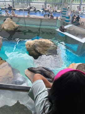 京都水族館に投稿された画像（2025/9/22）