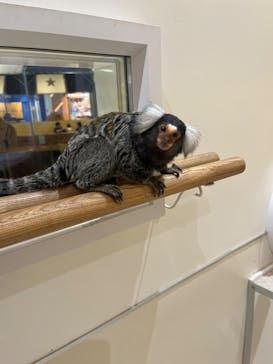 アニタッチららぽーと名古屋みなとアクルスに投稿された画像（2025/9/22）