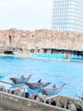 名古屋港水族館に投稿された画像（2025/9/22）