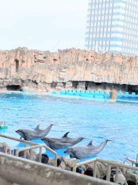 名古屋港水族館に投稿された画像（2025/9/22）