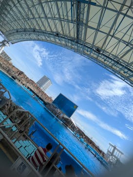 名古屋港水族館に投稿された画像（2025/9/22）