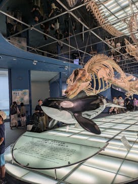 名古屋港水族館に投稿された画像（2025/9/22）