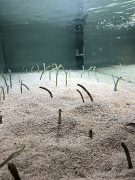 AOAO SAPPOROに投稿された画像（2025/9/22）