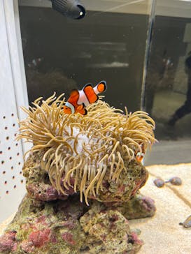 AOAO SAPPOROに投稿された画像（2025/9/22）