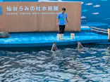 仙台うみの杜水族館に投稿された画像（2025/9/22）