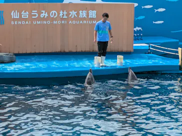 仙台うみの杜水族館に投稿された画像（2025/9/22）