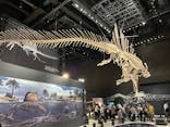 福井県立恐竜博物館に投稿された画像（2025/9/22）