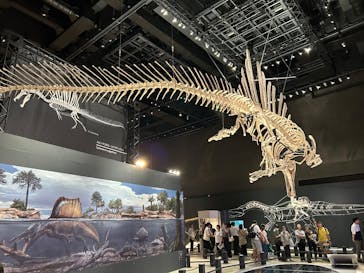 福井県立恐竜博物館に投稿された画像（2025/9/22）