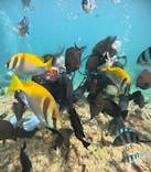 武藤潜水に投稿された画像（2025/9/22）