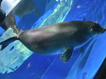 サンシャイン水族館に投稿された画像（2025/9/22）