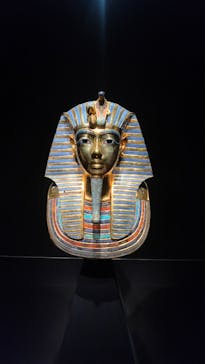 MYSTERY OF TUTANKHAMEN 体感型古代エジプト展に投稿された画像（2025/9/22）