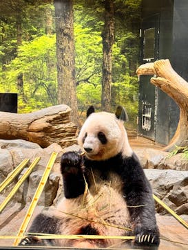 恩賜上野動物園に投稿された画像（2025/9/22）