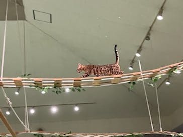 那須どうぶつ王国に投稿された画像（2025/9/22）