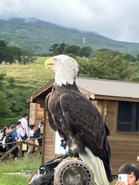 那須どうぶつ王国に投稿された画像（2025/9/22）