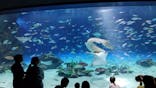 サンシャイン水族館に投稿された画像（2025/9/22）