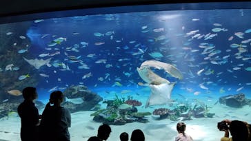 サンシャイン水族館に投稿された画像（2025/9/22）