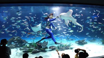 サンシャイン水族館に投稿された画像（2025/9/22）