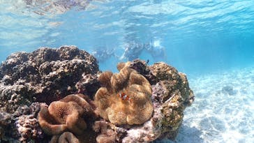 nico 宮古島に投稿された画像（2025/9/22）