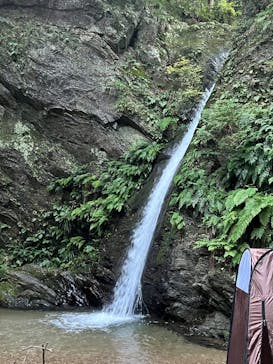 高福寺に投稿された画像（2025/9/22）